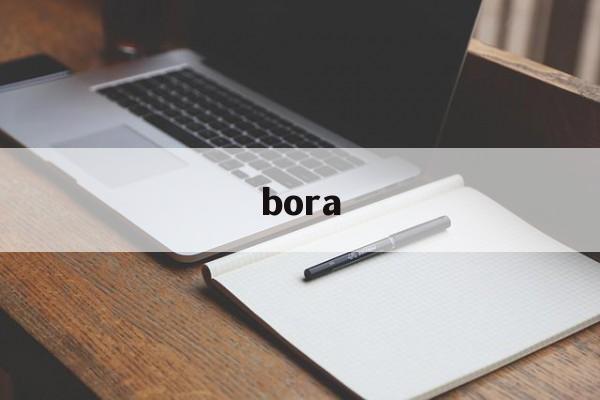 bora:(大众bora)