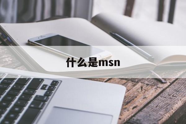 什么是msn:(MSN是什么软件)