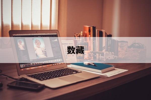 数藏:(xmeta数字藏品交易平台)