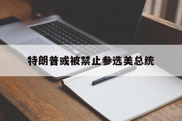 特朗普或被禁止参选美总统的简单介绍
