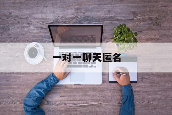 一对一聊天匿名:(一对一聊天软件免费的有哪些)