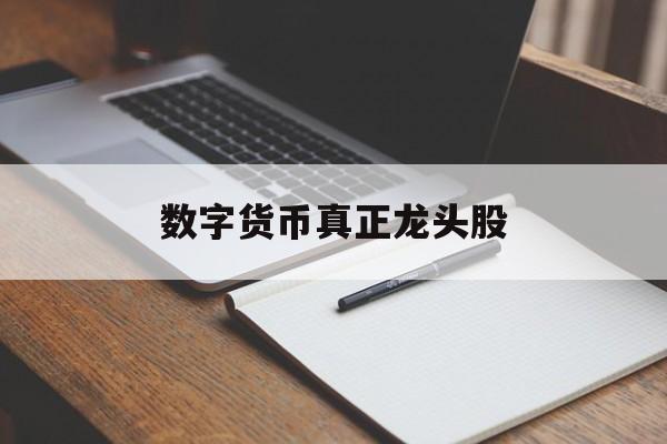数字货币真正龙头股:(数字货币第一龙头是哪只)