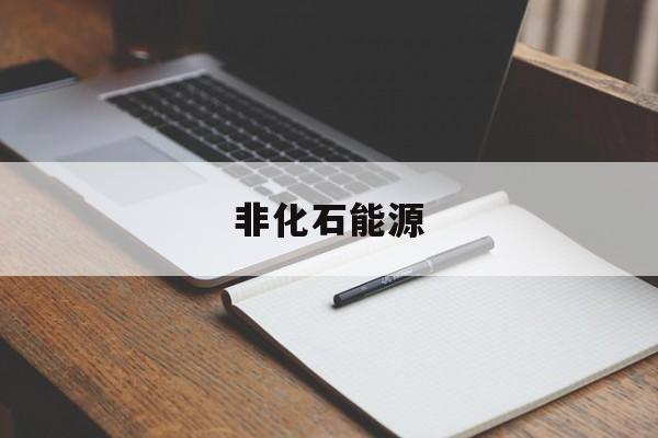 非化石能源:(属于非化石能源的是)