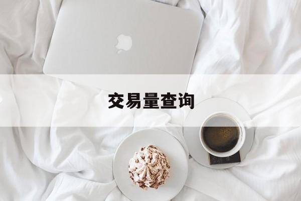 交易量查询:(成交量数据怎么看)