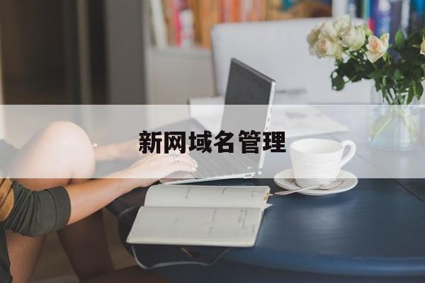 新网域名管理:(dyndns免费域名申请)