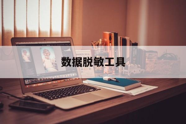数据脱敏工具:(表格数据脱敏处理方法)